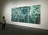 《 forest [1304] 》
2013
アルコール染料インク、綿布、パネル
2300×1500×3点組　　
愛知県美術館 展示室6　　※撮影：林育正